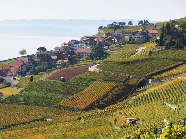 things to see and do in Lausanne