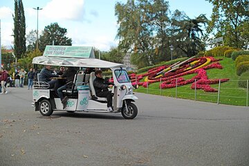 Private Tour of Geneva with Local Driver Guide