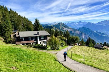 Lauterbrunnen Valley Waterfalls E-bike Tour with Swiss Picnic 4 Appenzell Cow milking experience from Zurich with alpine scenery