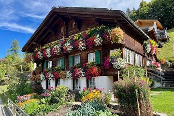 Private Swiss Alps helicopter tour over snow covered mountain peaks and glaciers 6 Historic Lausanne: Exclusive Private Tour with a Local