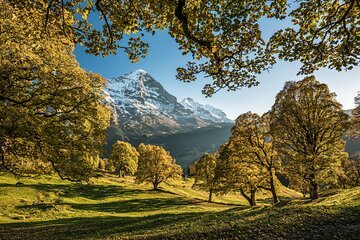 Raclette Rafting in Interlaken