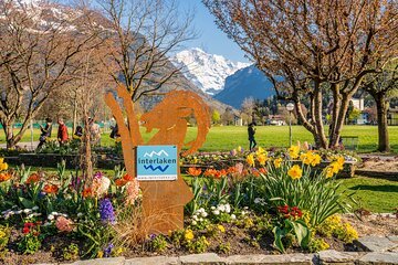 Bern Private Walking Tour with a Professional Guide 8 Zurich: Private Day Trip to Lucerne and Interlaken