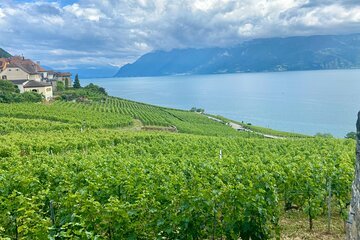 Private Tour to Gruyères, Chocolate & Cheese Factory from Geneva