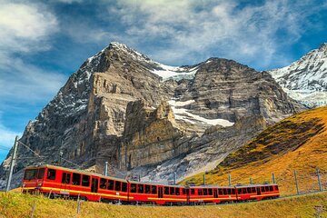 Gourmet Food and Wine Tasting Walk in Lavaux 6 Private day trip Basel to Zurich and Lucerne with a local driver