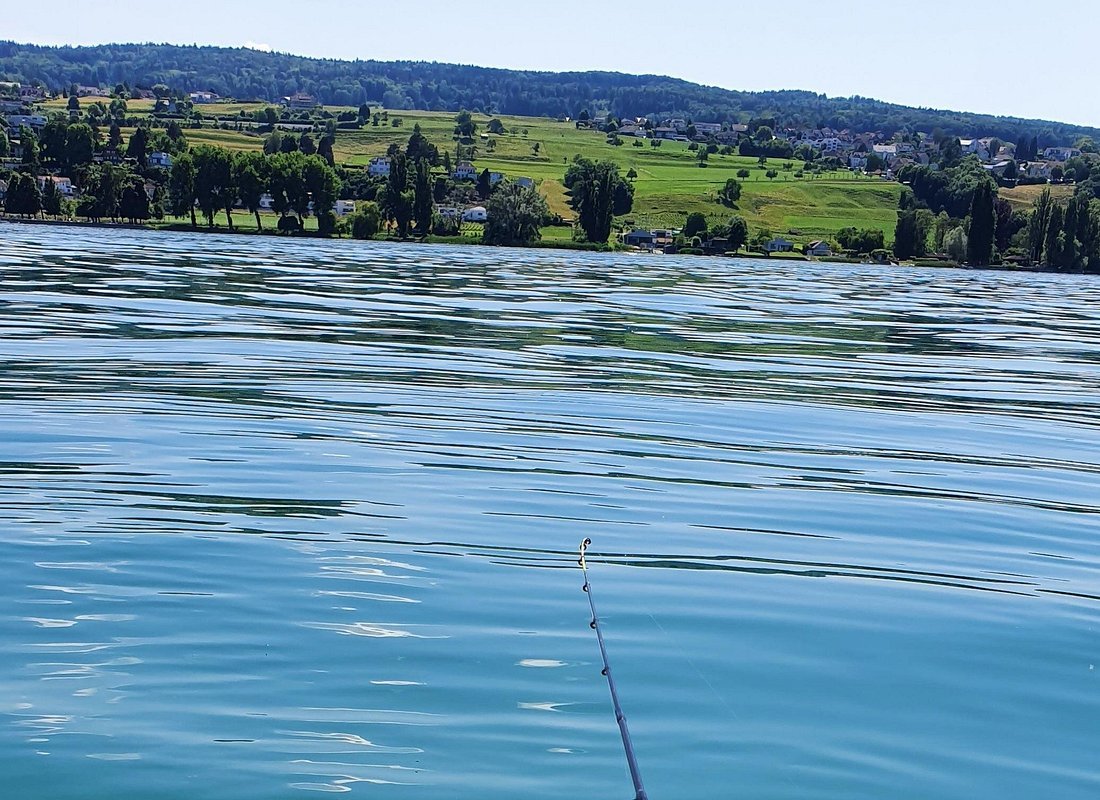 Zurich Instagram Photoshoot By Local Professionals 8 Fishing Tour with a Fishing Boat at Lake Constance (Untersee)