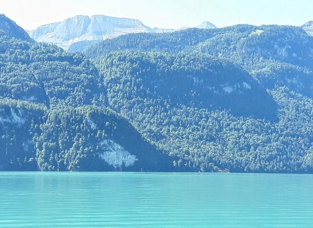 Lake Waterfall Aare Gorge CLOY Pier Iseltwald Sightseeing Private