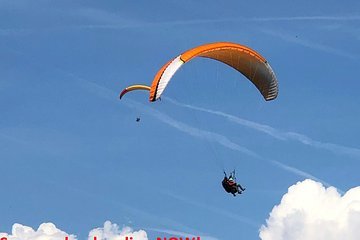 5 day Private Tour of Central Switzerland including Luzern, Grindelwald & Zurich 6 From Basel day trip to Colmar Hohkönigsburg and Ribeauvillé